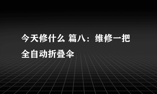 今天修什么 篇八：维修一把全自动折叠伞