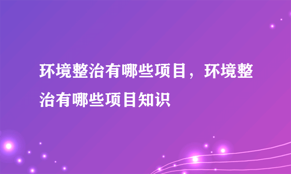 环境整治有哪些项目，环境整治有哪些项目知识