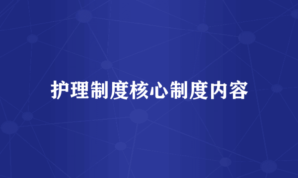 护理制度核心制度内容