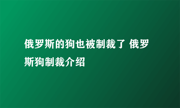 俄罗斯的狗也被制裁了 俄罗斯狗制裁介绍