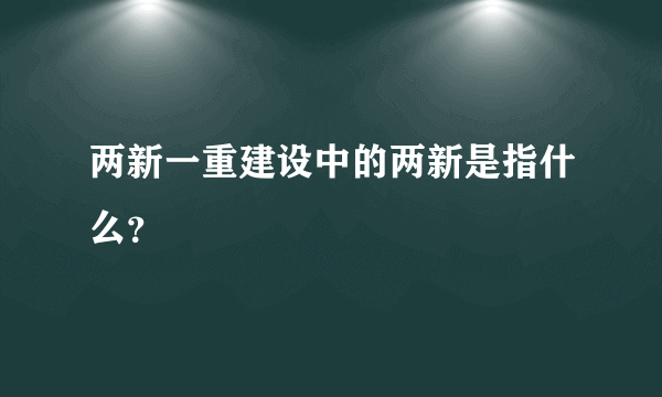 两新一重建设中的两新是指什么？