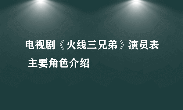 电视剧《火线三兄弟》演员表 主要角色介绍