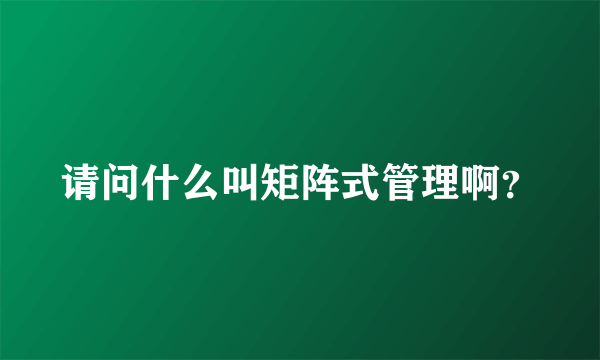 请问什么叫矩阵式管理啊？