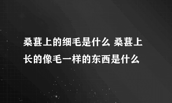 桑葚上的细毛是什么 桑葚上长的像毛一样的东西是什么