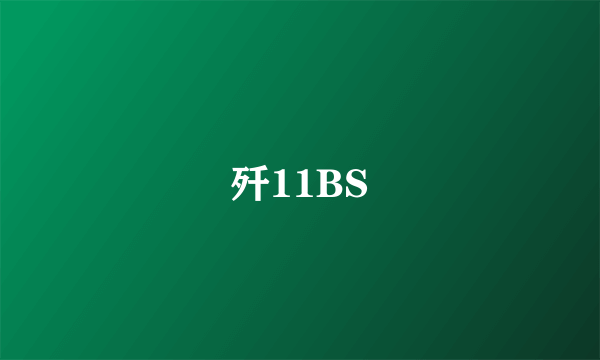 歼11BS