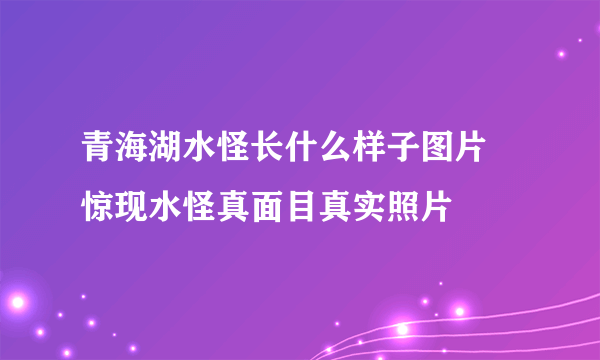 青海湖水怪长什么样子图片 惊现水怪真面目真实照片