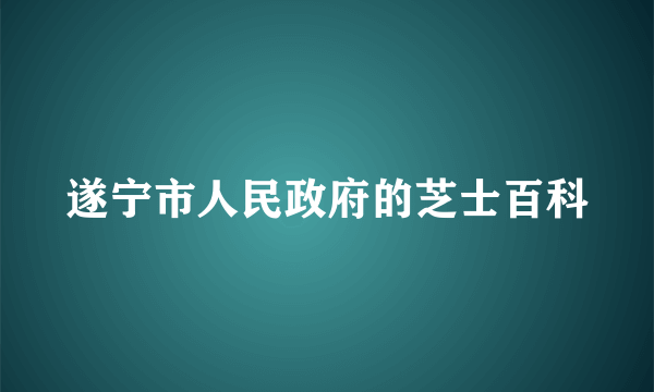 遂宁市人民政府的芝士百科