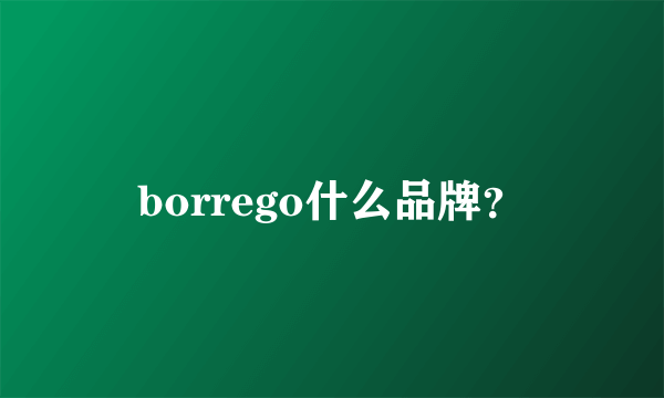 borrego什么品牌？