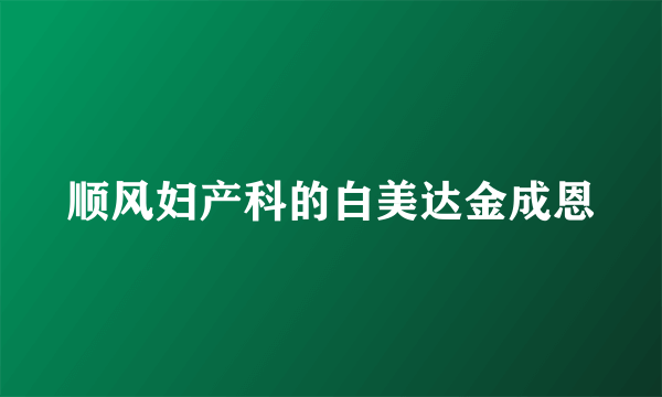 顺风妇产科的白美达金成恩