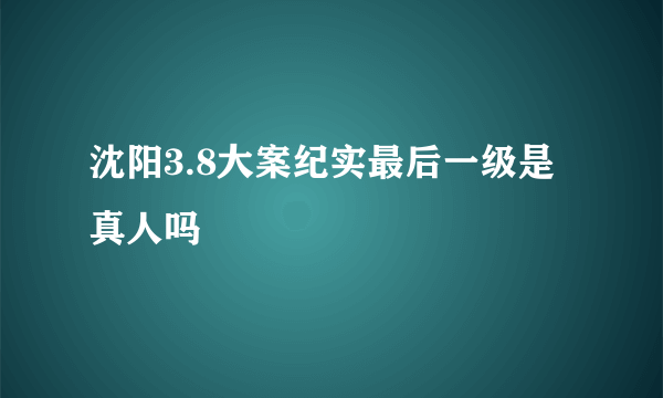 沈阳3.8大案纪实最后一级是真人吗