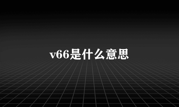 v66是什么意思