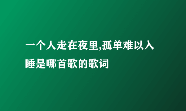 一个人走在夜里,孤单难以入睡是哪首歌的歌词