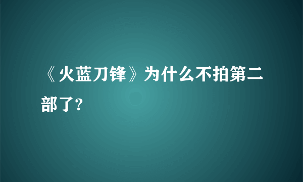 《火蓝刀锋》为什么不拍第二部了?