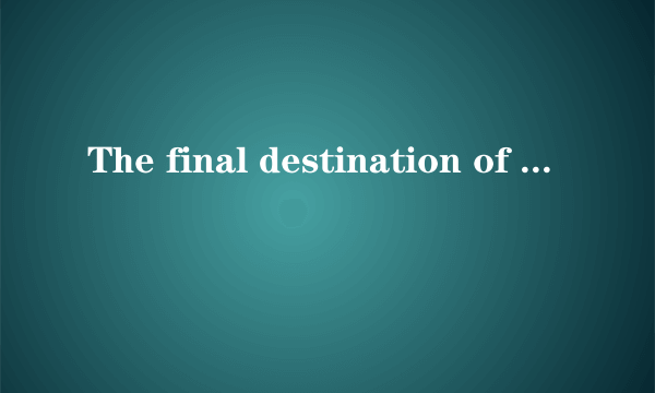 The final destination of life.啥意思