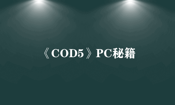 《COD5》PC秘籍