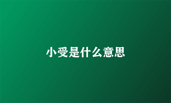 小受是什么意思