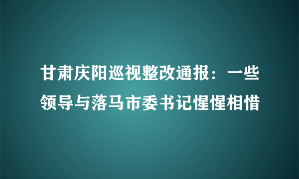 甘肃庆阳巡视整改通报：一些领导与落马市委书记惺惺相惜