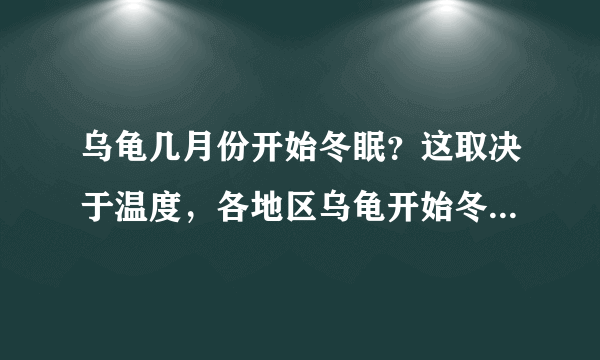 乌龟几月份开始冬眠？这取决于温度，各地区乌龟开始冬眠时间详情