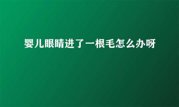 婴儿眼睛进了一根毛怎么办呀