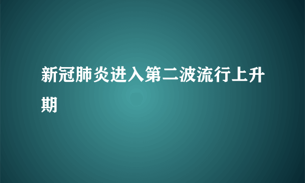 新冠肺炎进入第二波流行上升期