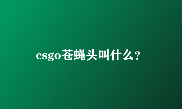 csgo苍蝇头叫什么？