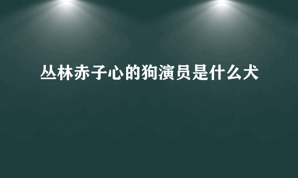 丛林赤子心的狗演员是什么犬