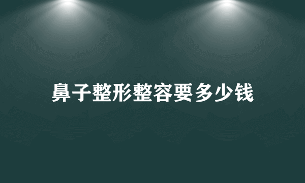 鼻子整形整容要多少钱