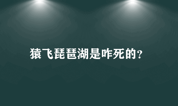 猿飞琵琶湖是咋死的？