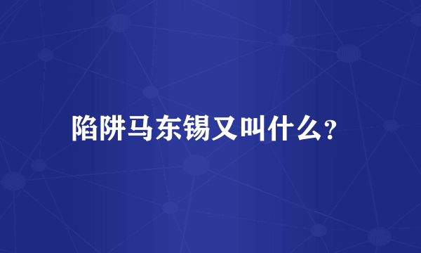 陷阱马东锡又叫什么？