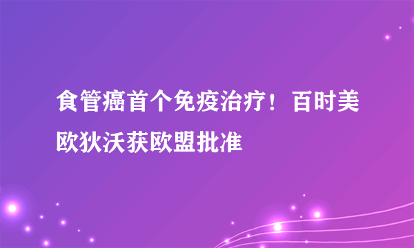 食管癌首个免疫治疗！百时美欧狄沃获欧盟批准