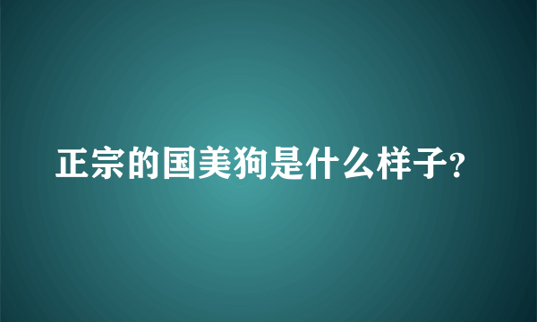 正宗的国美狗是什么样子？