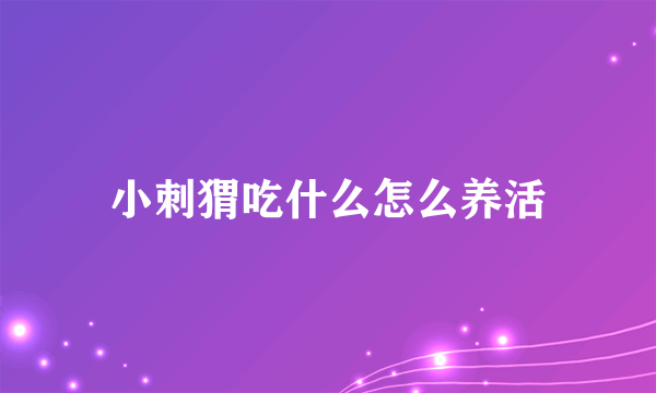 小刺猬吃什么怎么养活