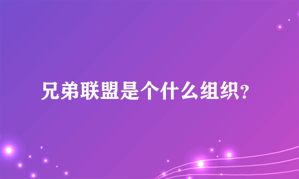 兄弟联盟是个什么组织？