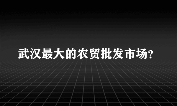 武汉最大的农贸批发市场？