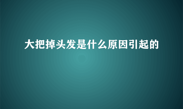 大把掉头发是什么原因引起的