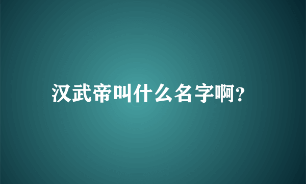 汉武帝叫什么名字啊？