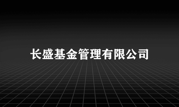 长盛基金管理有限公司