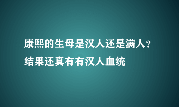 康熙的生母是汉人还是满人？结果还真有有汉人血统