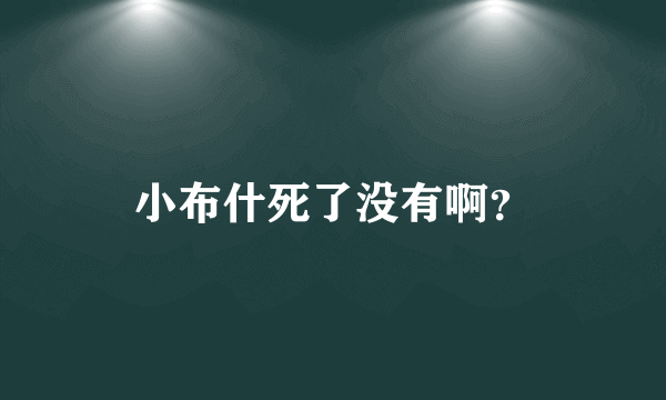 小布什死了没有啊？