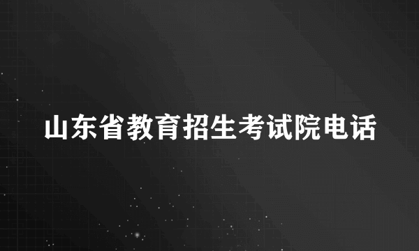 山东省教育招生考试院电话