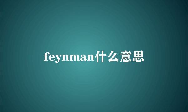 feynman什么意思