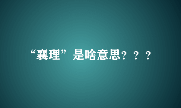 “襄理”是啥意思？？？