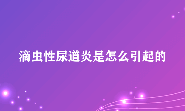 滴虫性尿道炎是怎么引起的