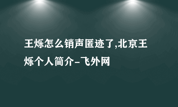 王烁怎么销声匿迹了,北京王烁个人简介-飞外网