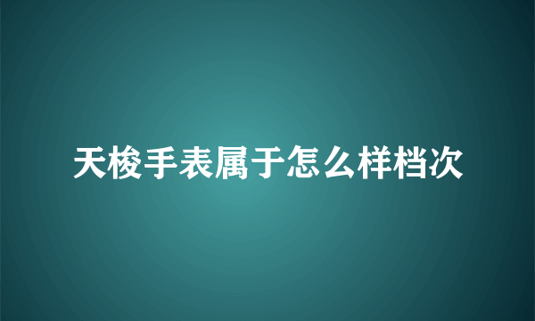 天梭手表属于怎么样档次