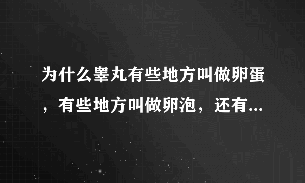 为什么睾丸有些地方叫做卵蛋，有些地方叫做卵泡，还有些地方叫做卵子？