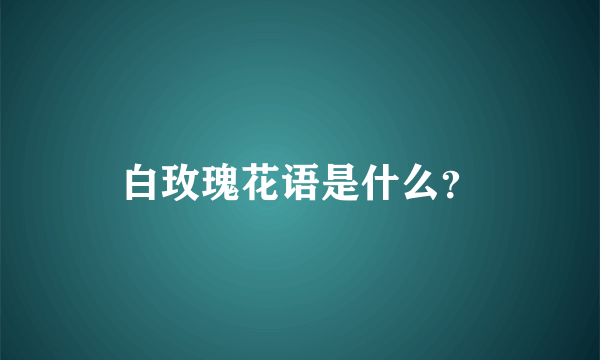 白玫瑰花语是什么？