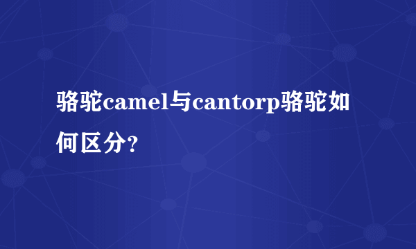 骆驼camel与cantorp骆驼如何区分？