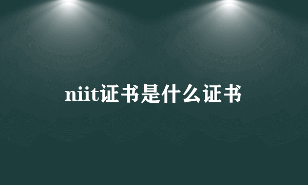 niit证书是什么证书