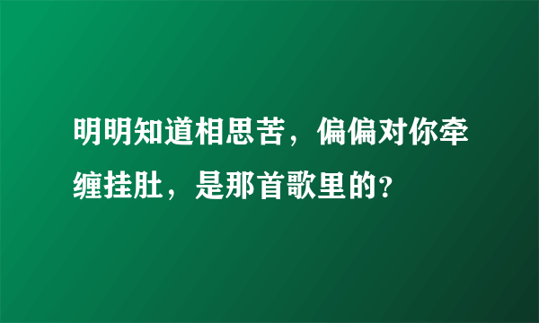 明明知道相思苦，偏偏对你牵缠挂肚，是那首歌里的？